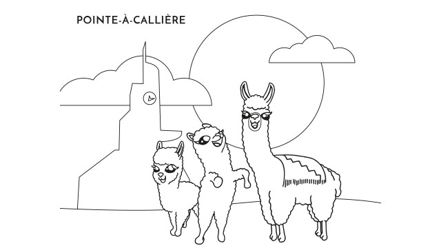 Pointe-à-Callière Live
Pointe-à-Callière en direct